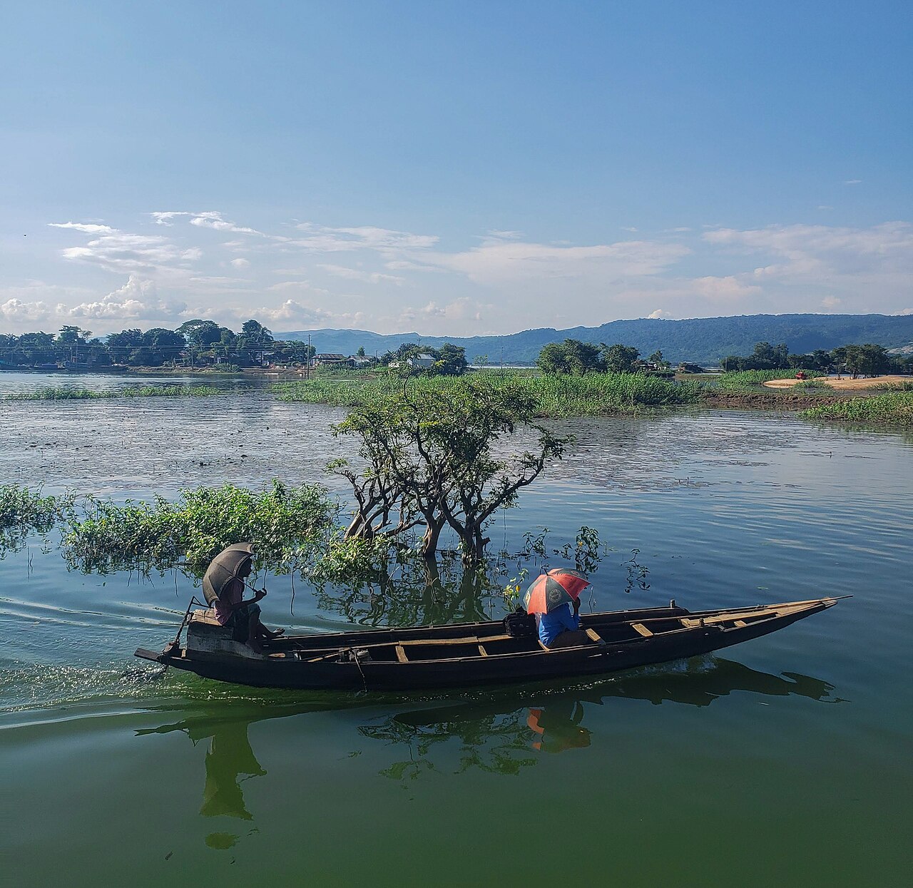People crossing Tanguar Haor in a small boat past a half-submerged tree